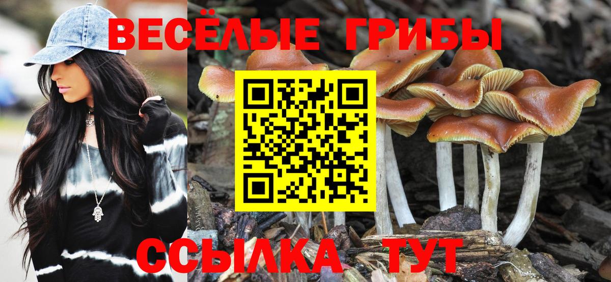 Псилоцибиновые грибы Magic Shrooms  Вход с VPN  Наро-Фоминск  Галлюциногенные грибы Cubensis 